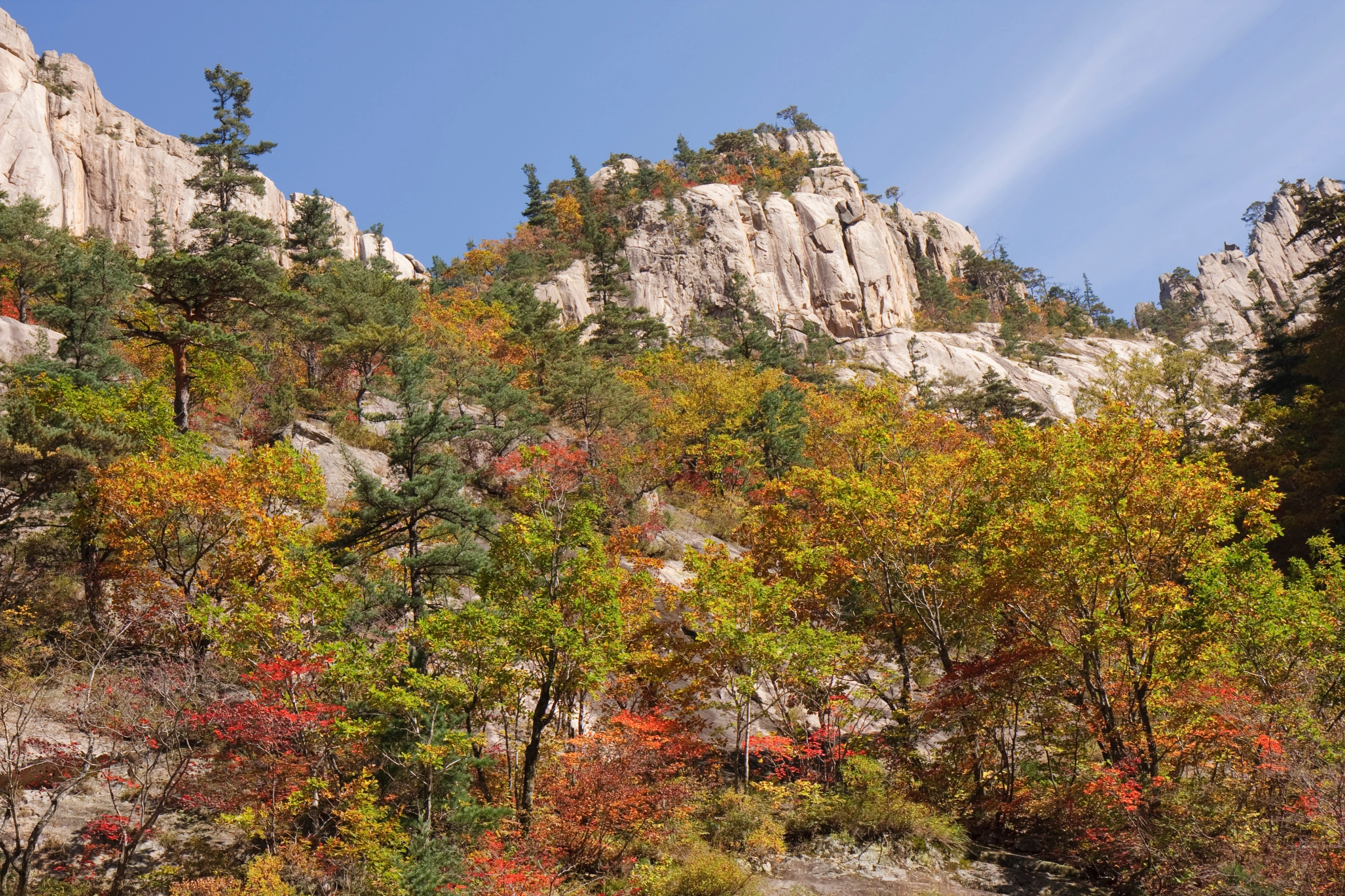 Seoraksan_National_Park_Seorak[1].webp